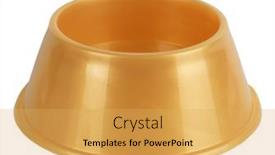  Presentation with pet food - Slide set having golden-pet-dog-food-bowl background and a yellow colored foreground