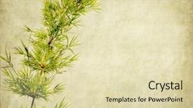 Presentation with antique paper texture - Amazing presentation theme having  backdrop and a  colored foreground