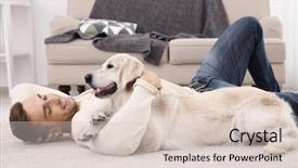  Presentation with carpet - Slides enhanced with golden retriever - handsome man with dog lying background and a lemonade colored foreground