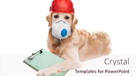  Presentation with golden - Amazing slides having golden-retriever-dog-in-respirator backdrop and a lemonade colored foreground