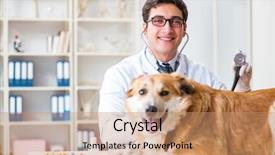  Presentation with doctor examining a newborn baby - Amazing PPT theme having golden retriever dog in vet backdrop and a  colored foreground