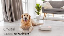  Presentation with vacuum cleaner robot - Amazing slide deck having golden-retriever-dog-lying backdrop and a coral colored foreground