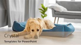  Presentation with resting place - 