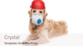  Presentation with golden - Theme consisting of golden-retriever-dog-wearing-hardhat background and a lemonade colored foreground