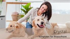  Presentation with golden light - Audience pleasing slide set consisting of golden-retriever-dogs-lying backdrop and a coral colored foreground