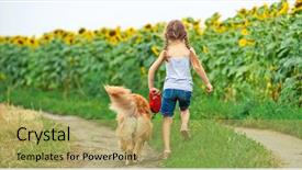  Presentation with leash - Theme enhanced with golden retriever go away background and a yellow colored foreground