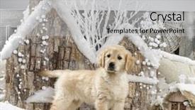  Presentation with golden christmas - Presentation enhanced with golden retriever in front of a christmas scenery background and a light gray colored foreground