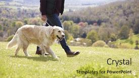  Presentation with walk faith - Presentation theme having golden retriever on walk background and a yellow colored foreground