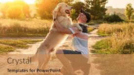  Presentation with next - Audience pleasing theme consisting of golden-retriever-standing-next backdrop and a coral colored foreground