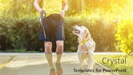 Presentation with golden - PPT theme having golden-retriever-walking-oudoors background and a yellow colored foreground
