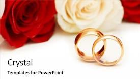  Presentation with roses - Audience pleasing presentation theme consisting of golden rings and roses isolated backdrop and a  colored foreground