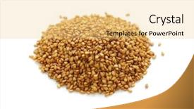  Presentation with seeds - Audience pleasing theme consisting of golden sesame seeds piled backdrop and a blonde colored foreground