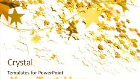  Presentation with stars - Presentation with cute llama alpaca animal closeup snout in the zoo background and a gray colored foreground