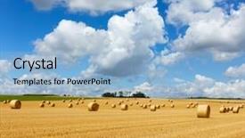  Presentation with hay field - Colorful PPT theme enhanced with golden straw bales of hay backdrop and a light blue colored foreground