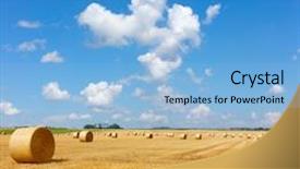  Presentation with hay field - PPT layouts enhanced with golden straw bales of hay background and a light blue colored foreground