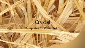  Presentation with straw - Amazing presentation design having golden straw texture background close-up backdrop and a yellow colored foreground