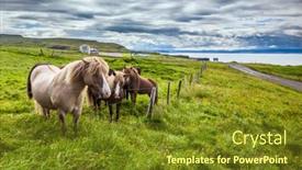  Presentation with tundra - Amazing slides having golden-summer-sunset-only-one backdrop and a tawny brown colored foreground