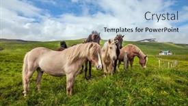  Presentation with tundra - Slides featuring golden-summer-sunset-only-one background and a light blue colored foreground