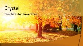  Presentation with fall leaves - Theme enhanced with golden sunset - autumn fall autumnal park autumn background and a yellow colored foreground