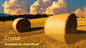  Presentation with hay field - Cool new PPT layouts with golden-sunset-over-farm-field backdrop and a tawny brown colored foreground