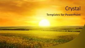  Presentation with red gold green field - Presentation design with golden sunset over wheat field background and a gold colored foreground