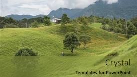  Presentation with asia - Presentation consisting of golden tiger lily farm with farmer working at the hill at hualien taiwan asia background and a gold colored foreground