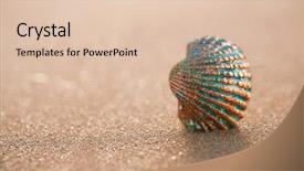  Presentation with golden light - Audience pleasing slide set consisting of golden tropical shell on sea beach with waves under sunrise sun light canary island spain backdrop and a lemonade colored foreground