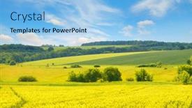  Presentation with sky blue - Slide set having golden-wheat-field-and-blue background and a light blue colored foreground