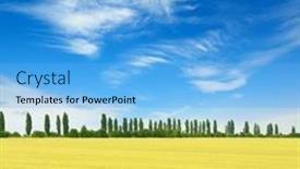  Presentation with blue sky - PPT theme consisting of golden-wheat-field-and-blue background and a light blue colored foreground
