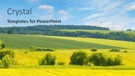  Presentation with sky blue - Presentation theme with golden-wheat-field-and-blue background and a light blue colored foreground