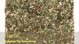  Presentation with alternative medicine - PPT theme featuring goldenrod herb leaf used in natural alternative herbal medicine over white background solidago background and a tawny brown colored foreground