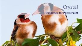  Presentation with spring tree - PPT theme featuring goldfinch sitting on a branch of blossom tree in spring background and a sky blue colored foreground