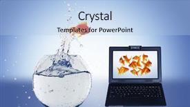  Presentation with goldfish - Amazing slide deck having goldfish and laptop collage backdrop and a light blue colored foreground