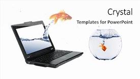  Presentation with goldfish - Beautiful presentation featuring goldfish and laptop collage backdrop and a white colored foreground
