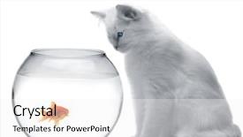  Presentation with cat - Slide deck enhanced with goldfish aquarium - cat and a gold fish background and a white colored foreground