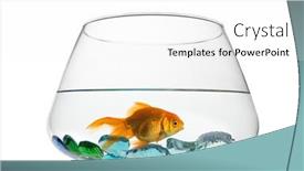  Presentation with goldfish - Presentation design having goldfish-floating-in-glass-sphere background and a white colored foreground