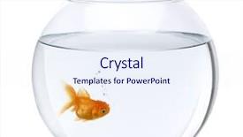  Presentation with goldfish - PPT layouts with goldfish in fish bowl background and a sky blue colored foreground