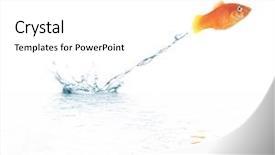  Presentation with goldfish - PPT theme having goldfish is jumping picture was background and a white colored foreground