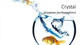  Presentation with goldfish - Theme featuring goldfish jump out from aquarium background and a white colored foreground