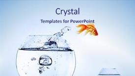  Presentation with goldfish - Beautiful slides featuring goldfish jumping from the aquarium backdrop and a sky blue colored foreground