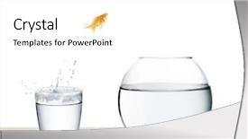  Presentation with goldfish jumping out - Audience pleasing slide set consisting of goldfish jumping backdrop and a  colored foreground