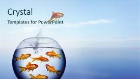  Presentation with goldfish jumping out - Slides with goldfish jumping background and a sky blue colored foreground