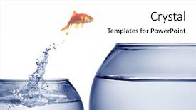 Presentation with goldfish jumping out - Amazing presentation design having goldfish jumping backdrop and a white colored foreground