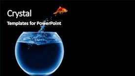  Presentation with goldfish jumping out - Colorful presentation theme enhanced with goldfish jumping backdrop and a black colored foreground