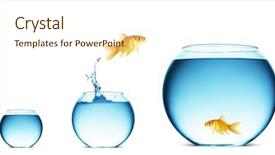  Presentation with goldfish jumping out - Slide deck with goldfish jumping background and a cream colored foreground