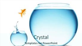  Presentation with goldfish jumping out - Slides having goldfish jumping background and a cool aqua colored foreground