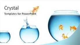  Presentation with goldfish jumping out - Colorful theme enhanced with goldfish jumping backdrop and a  colored foreground