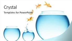  Presentation with goldfish jumping out - Slides consisting of goldfish jumping background and a white colored foreground