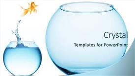  Presentation with goldfish jumping out - Colorful PPT layouts enhanced with goldfish jumping backdrop and a sky blue colored foreground