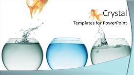  Presentation with goldfish jumping out - Cool new presentation theme with goldfish jumping backdrop and a white colored foreground